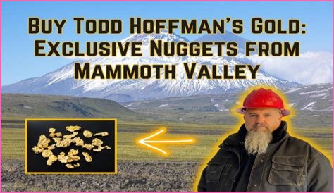Unveiling The Gold Mine Of Todd Hoffman's Financial Empire